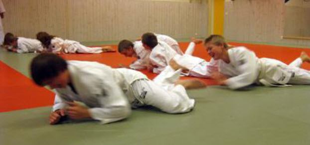 Elevens val 2011