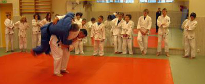 Elevens val 2011