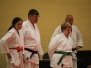 Staffanstorp Open 2013