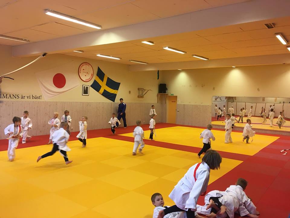 Judolekis-2018
